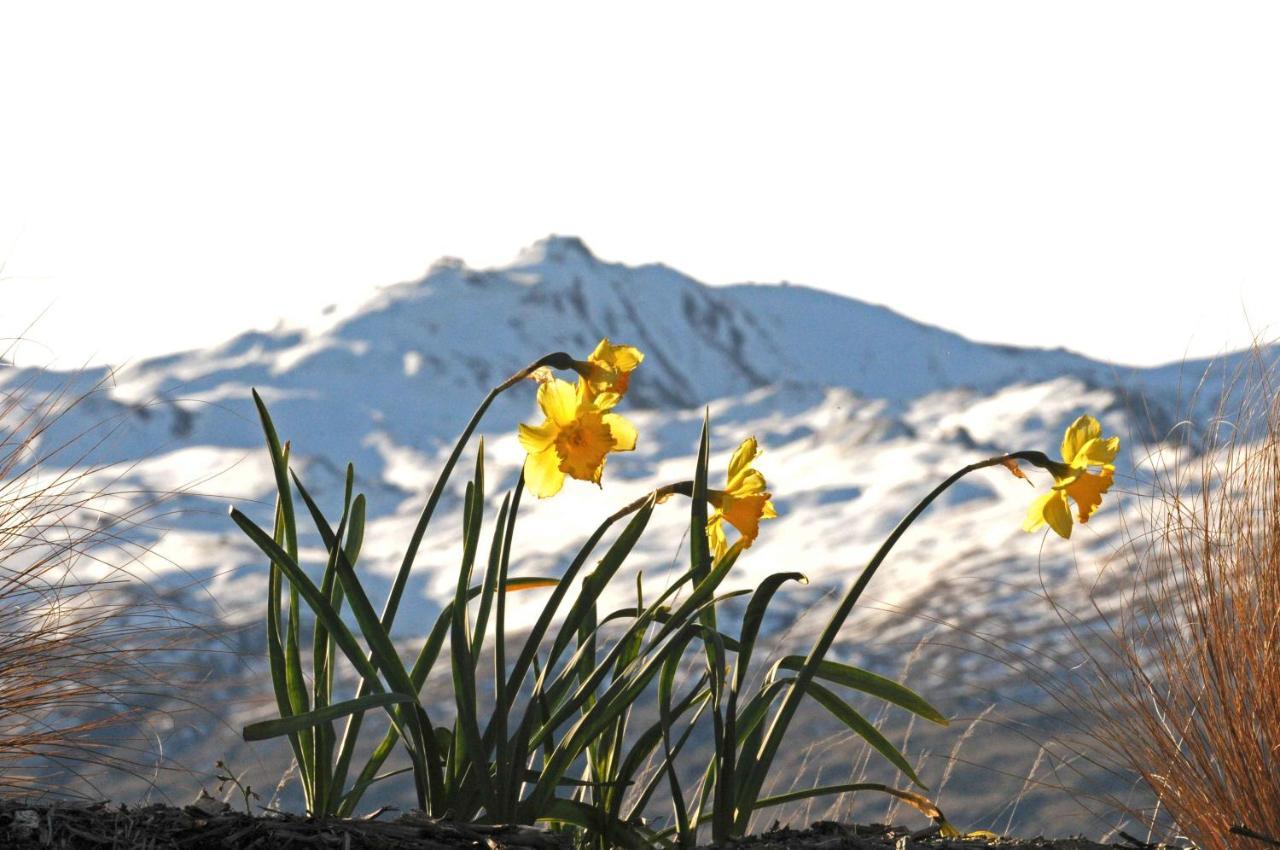 Hawkridge Alpine Suite Queenstown Buitenkant foto